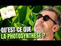 🌞 La photosynthèse 🌱 #ChezJamy - Confinement Jour 20