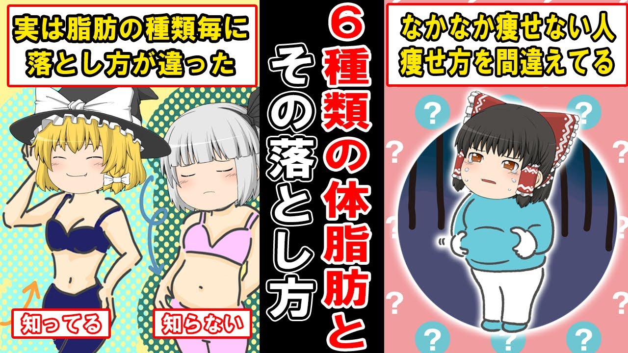 実は６種類もある体脂肪と、それを落とす為にやるべき本当の方法【ゆっくり解説】