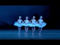 Танец маленьких лебедей ( Dance of the little swans from Swan Lake)