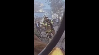Two cats rescued from apartment fire in California