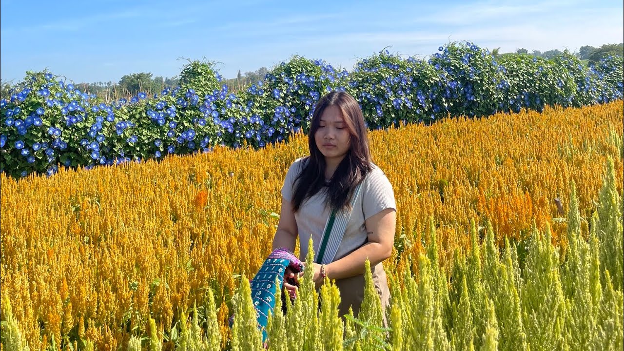 Dwellwe Hser _This is Life ( Official Music Video )