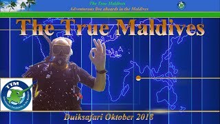2018-10-01 Tm 10-11, Duiksafari The True Maldives, Malediven Trip1