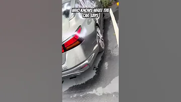 WHO KNOWS WHAT THE CAR SAYS Youtubeshorts Shorts Shortsfeed 