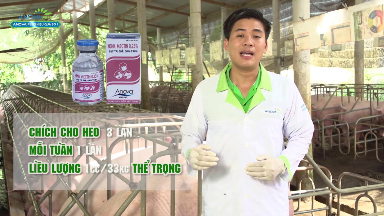 feedvisor KỸ THUẬT PHÒNG GHẺ TRÊN HEO (Ông Nguyễn Trọng Thắng)