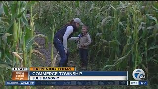 Family fun at the apple orchard