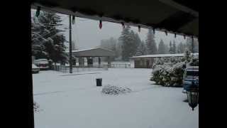 20120117 Snow MVI_0165.AVI