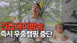 쑈따리 Showddary 대표 영상 썸네일