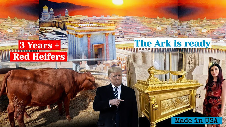 Third Temple Update : The Construction Progress Significantly as Red Heifers Come of Age