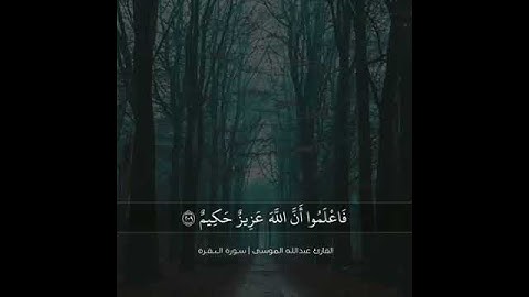 القارئ - عبدالله الموسى سورة البقرة {يا أيها الذين أمنوا ادخلوا في السلم كافة}