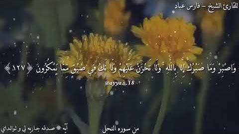 القارئ الشيخ فارس عباد|| حالات واتس اب|| قرآن كريم ❤❤