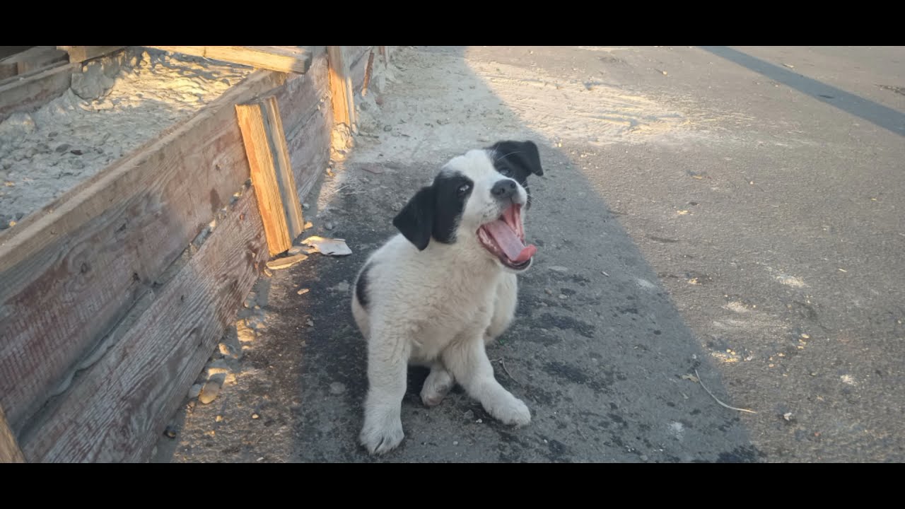 Три танкиста три веселых друга - YouTube