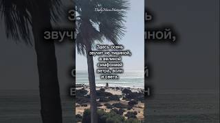 Океан в октябре: встреча с вечностью #Атлантика #ОсеньУОкеана #short #Мотивация #Отдохни