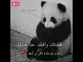 خسرتك اااه ياجمره غيابك ذكرتك رحت ادور في سنابك عثمان الشراري السعوديه اليمن تصميمي ستوريات حالات 
