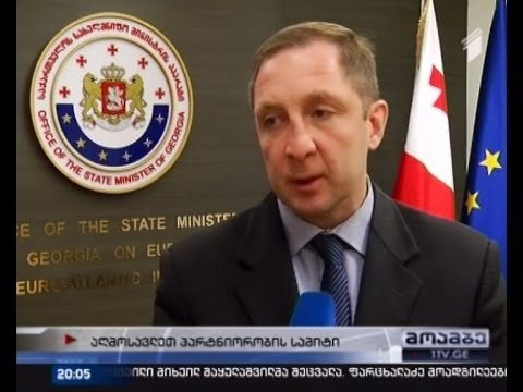 საქართველო ვილნიუსის სამიტისთვის განსაკუთრებულად ემზადება