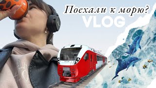 VLOG #11|Сочи моими глазами 🌊