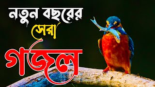 Gojol Islamic Bangla | নতুন বাংলা গজল | Bangla Gojol | Gazal | Gazal | Islamic Gojol | Gojol Gazal