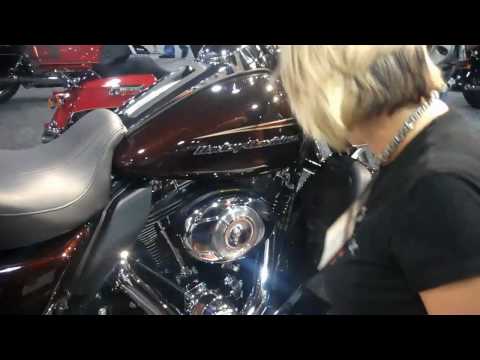 Harley-Davidson of Greenville Summer Dealer Show 2...