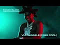 Kodak Black - Vulnerable (Free Cool) [Official Audio]