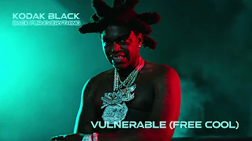 Kodak Black - Vulnerable (Free Cool) [Official Audio]