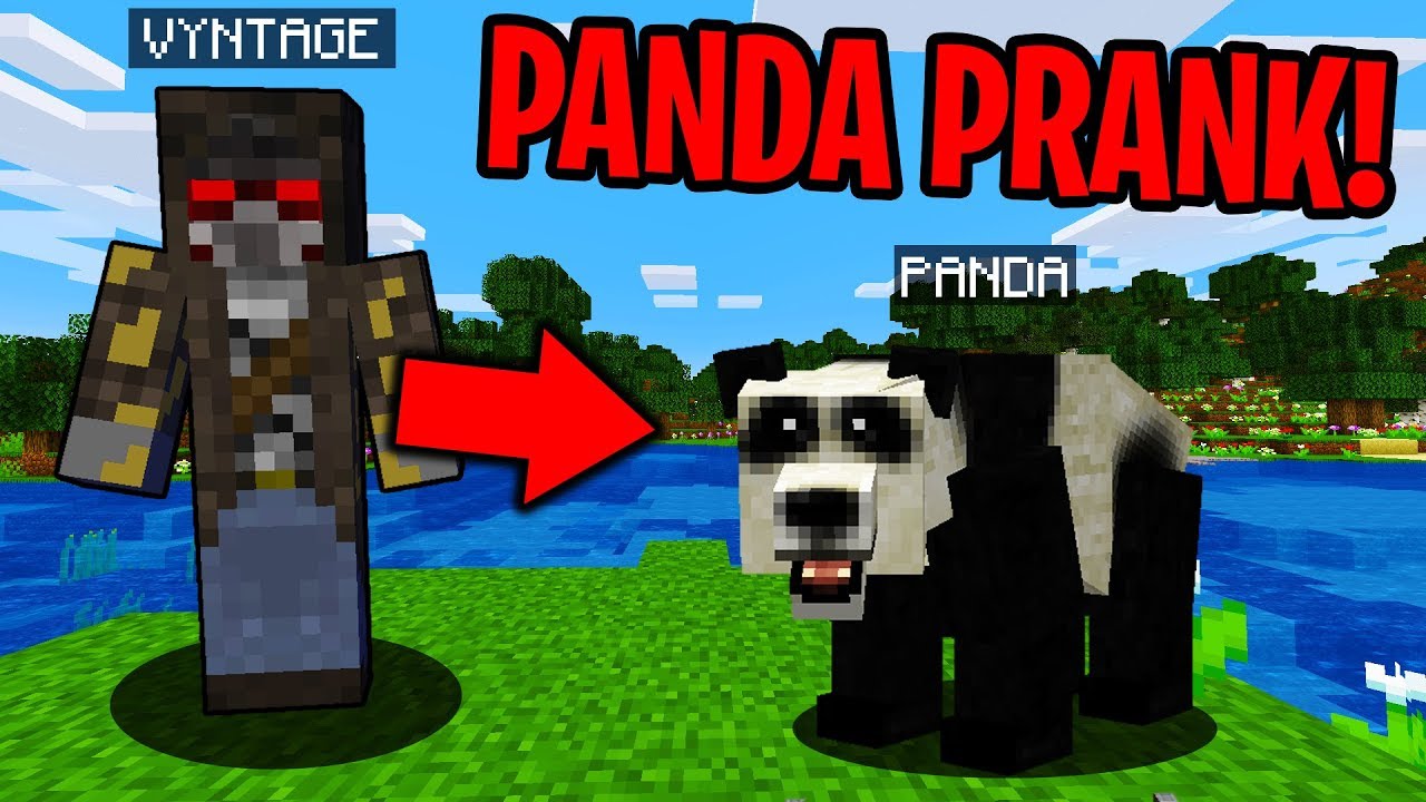 PRANKING AS A PANDA IN MINECRAFT! - Minecraft Trolling Video