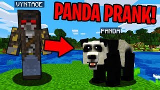 PRANKING AS A PANDA IN MINECRAFT!  Minecraft Trolling Video