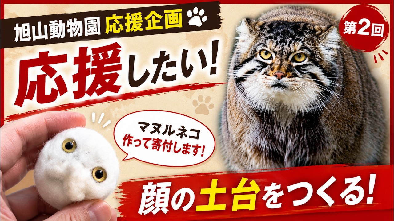 poppet 羊毛フェルト　スキーをする猫 ② Let's make a Pallas's cat! A project to support Asahiyama Zoo