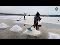 Thai Sea Salt Farms