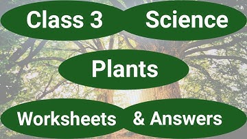 Plants | Class 3 Science | Class 3 Science Worksheet | Class 3 EVS | Class 3 | Class 3 Worksheet