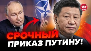 ⚡️Срочно! Си дал Путину ПРИКАЗ о НАТО! Кремль РАЗОЧАРОВАЛ Пекин. Шойгу ВЫШВЫРНУЛИ в Китае