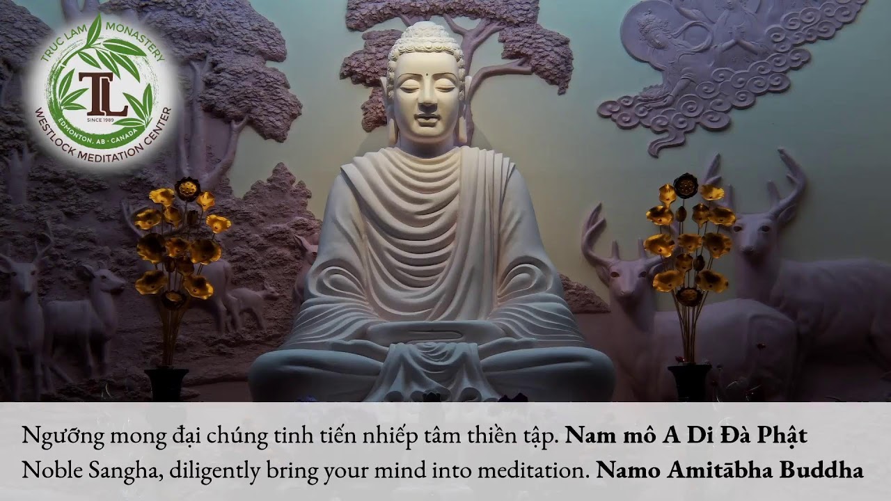 Trì Kinh Hoa Nghiêm – Tập 4 Phần 10 (7:30pm- May 9, 2023 – Trúc Lâm) Trì Kinh Hoa Nghiêm – Tập 4 Phần 10 (7:30pm- May 9, 2023 – Trúc Lâm)