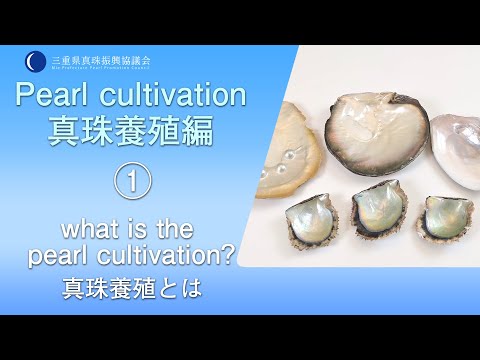 ドット 絵 アニメ キャラ 真珠三叉矛の達人 旧枠 FOIL 英語 MTG