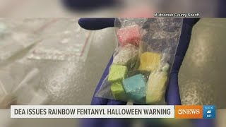 Rainbow fentanyl an increasing concern, especially heading into Halloween