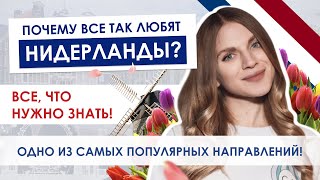 Как поступить в Нидерланды? | Первая страна, которая... | Учеба за границей @CAcademy