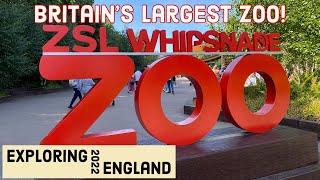 Whipsnade Zoo, Britains Largest Zoo | Dunstable | England