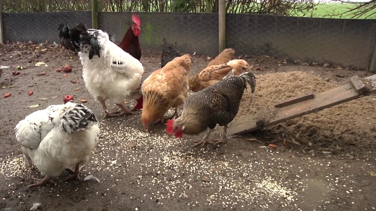 Wind Turbine Syndrome