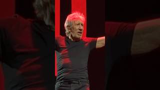 Another Brick In The Wall Live #Rogerwaters #Pinkfloyd #Thewall #Rock #Concert #Music #Shorts