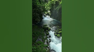 سورة الفاتحة قران كريم      #قرآن