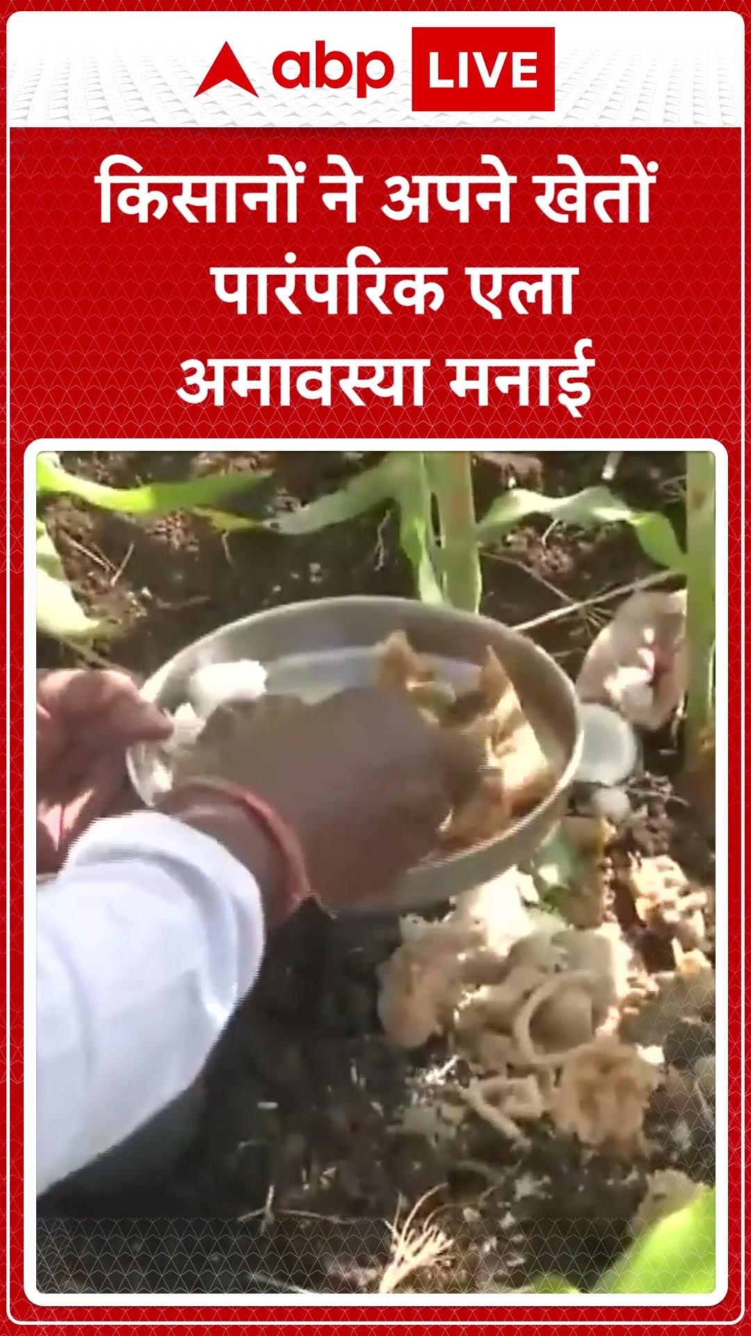 Karnataka News: किसानों ने अपने खेतों में पारंपरिक एला अमावस्या मनाई | ABP LIVE | SHORTS