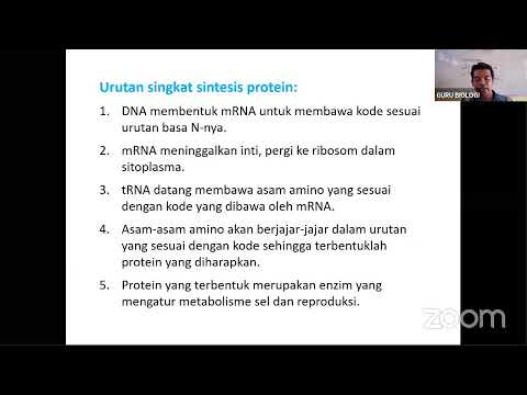 Video: Berapakah bilangan bes guanin yang terkandung dalam 50 pasangan bes DNA untai ganda 100 jumlah bes jika ia mempunyai 25 bes adenina?