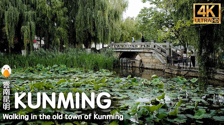 【中國雲南】漫步昆明老街區，千年古寺圓通寺到翠湖公園☁️ (4K UHD) - 天天要聞
