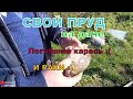 Свой пруд на даче. Почему погиб карась? Раки в своём пруду. Ловим раков в своём пруду на участке.