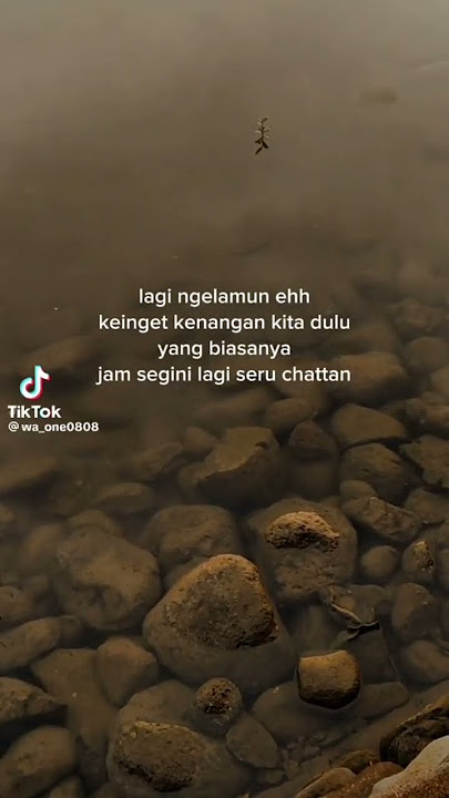 ada ygg ingt sering Chet siapa ? #shorts #fypシ #katakatasadboy #berandakamu