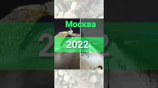 Новый год в Москве 2022. Красная Площадь, Кремль, Воробьёвы Горы, Чистые Пруды, Москва-река зимой.