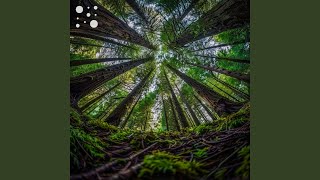 Whispering Willows (feat. Stress Relief Therapy Music Academy) - Mystic Meadow Music