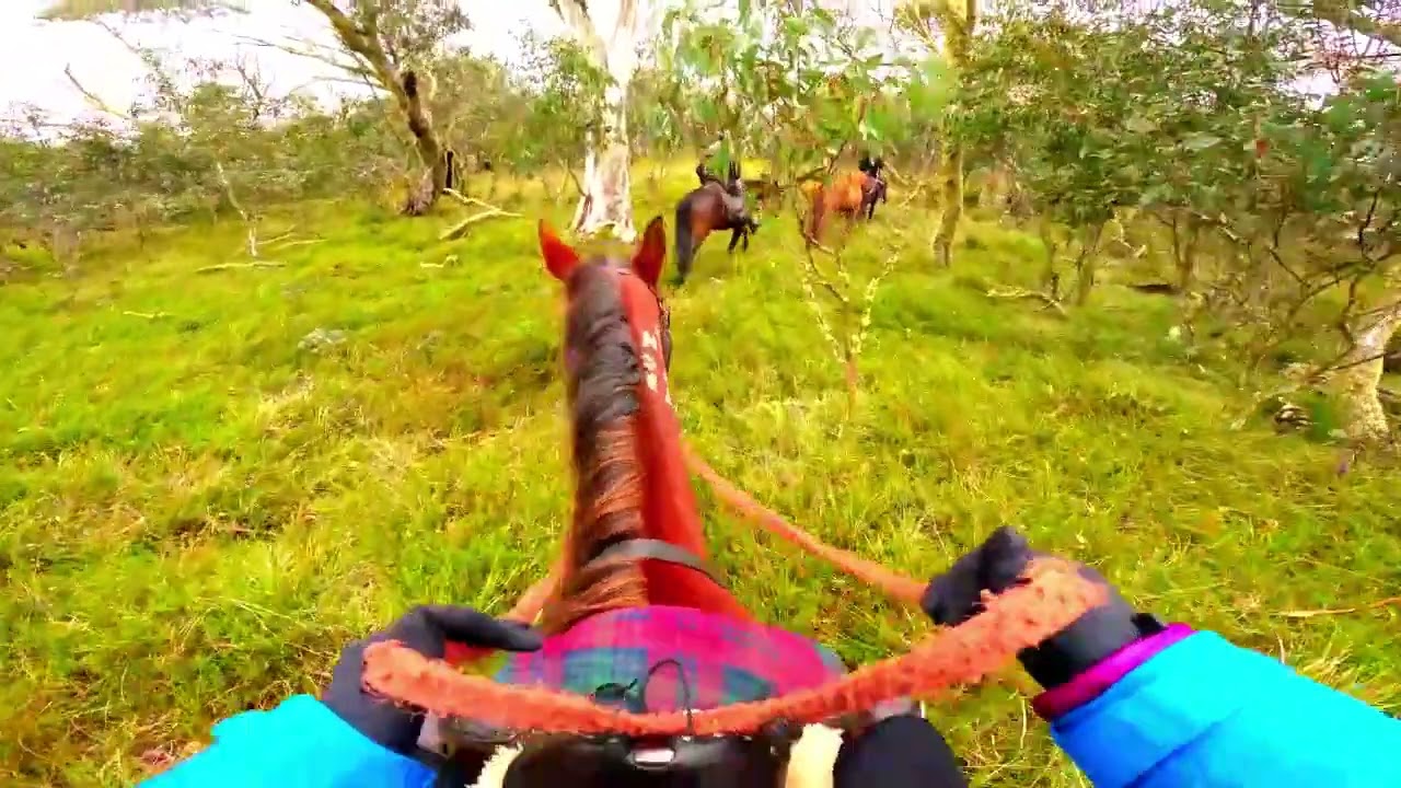 Snowy River Horseback Tour