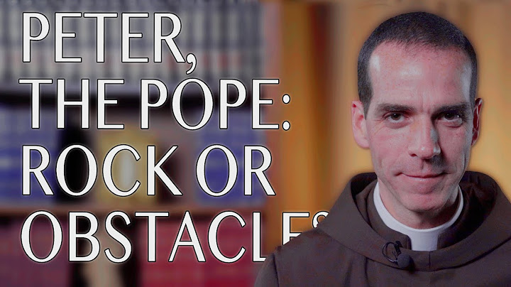 Peter, the Pope: Rock or Obstacle?| Daily Gospel Meditation | Fr. David | August 4th, 2022