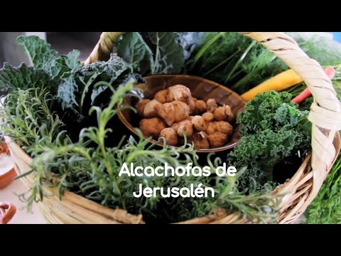 Video: Como Comer Alcachofa De Jerusalén