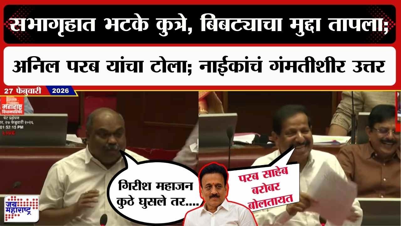 सभागृहात भटके कुत्रे, बिबट्याचा मुद्दा तापला; Anil Parabयांचा टोला; Ganesh Naikयांचं गंमतीशीर उत्तर