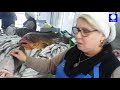التعرف على أنواع الأسماك في الجزائر وطريقة طهيها وفوائدها مع السيدة كريمة برغيتي