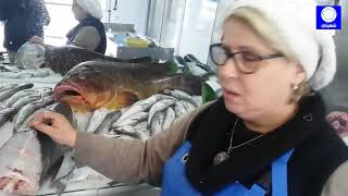 التعرف على أنواع الأسماك في الجزائر وطريقة طهيها وفوائدها مع السيدة كريمة برغيتي